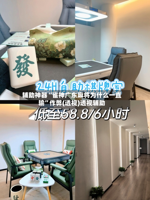 辅助神器“雀神广东麻将为什么一直输”作弊(透视)透视辅助