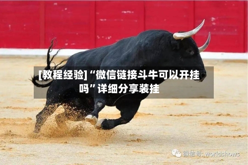[教程经验]“微信链接斗牛可以开挂吗”详细分享装挂