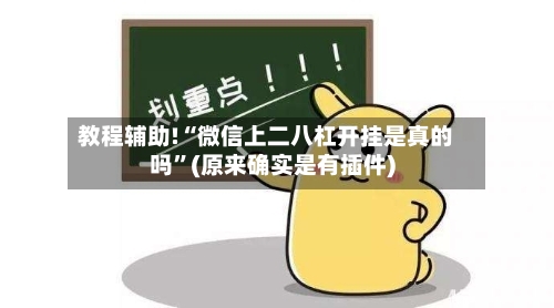 教程辅助!“微信上二八杠开挂是真的吗”(原来确实是有插件)-第3张图片