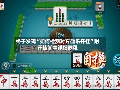 终于发现“如何检测对方微乐开挂”附开挂脚本详细教程-第3张图片