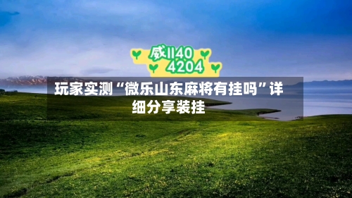玩家实测“微乐山东麻将有挂吗”详细分享装挂-第2张图片