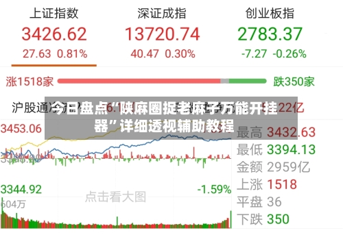 今日盘点“陕麻圈捉老麻子万能开挂器”详细透视辅助教程-第3张图片