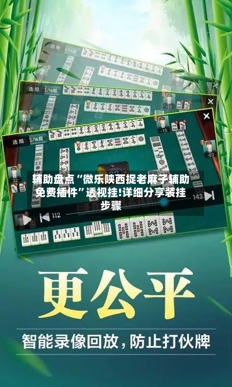辅助盘点“微乐陕西捉老麻子辅助免费插件”透视挂!详细分享装挂步骤
