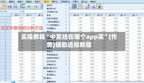 实操教程“中至挂在哪个app买”(作弊)辅助透视教程-第2张图片