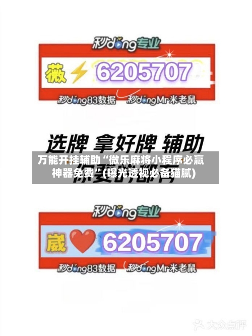万能开挂辅助“微乐麻将小程序必赢神器免费”(曝光透视必备猫腻)-第3张图片