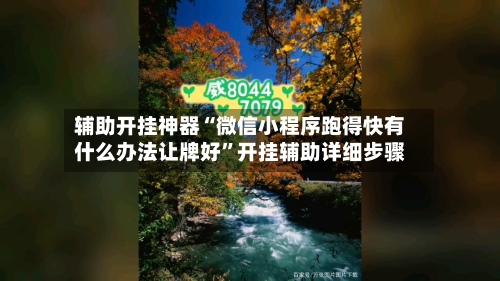 辅助开挂神器“微信小程序跑得快有什么办法让牌好”开挂辅助详细步骤-第2张图片