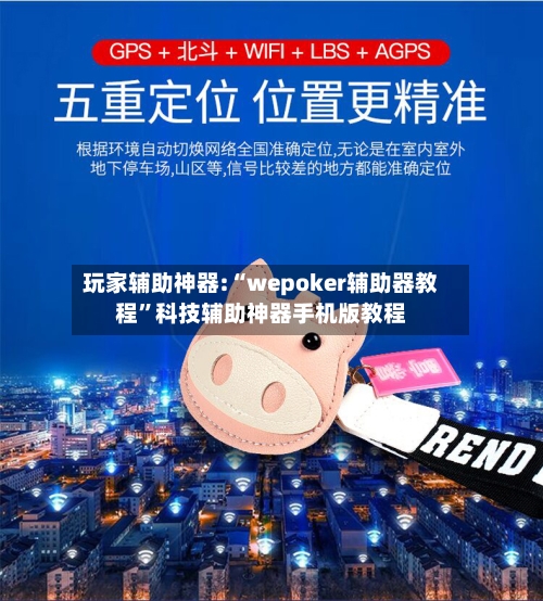 玩家辅助神器:“wepoker辅助器教程”科技辅助神器手机版教程-第3张图片