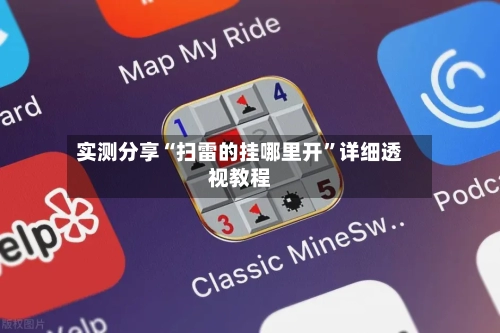 实测分享“扫雷的挂哪里开”详细透视教程-第2张图片