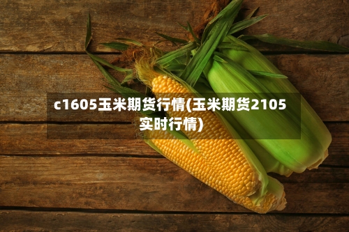 c1605玉米期货行情(玉米期货2105实时行情)-第3张图片