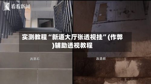 实测教程“新道大厅张透视挂	”(作弊)辅助透视教程-第2张图片