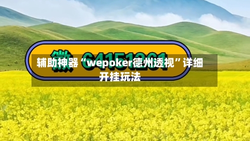 辅助神器“wepoker德州透视”详细开挂玩法-第3张图片