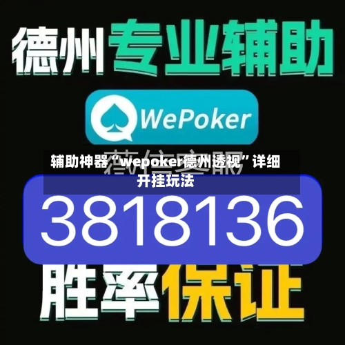 辅助神器“wepoker德州透视”详细开挂玩法-第2张图片