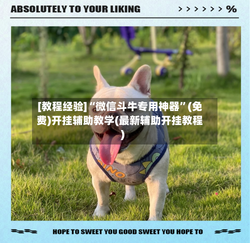[教程经验]“微信斗牛专用神器	”(免费)开挂辅助教学(最新辅助开挂教程)-第3张图片