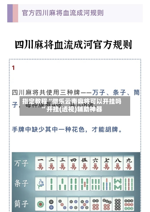指定教程“微乐云南麻将可以开挂吗”开挂(透视)辅助神器-第2张图片