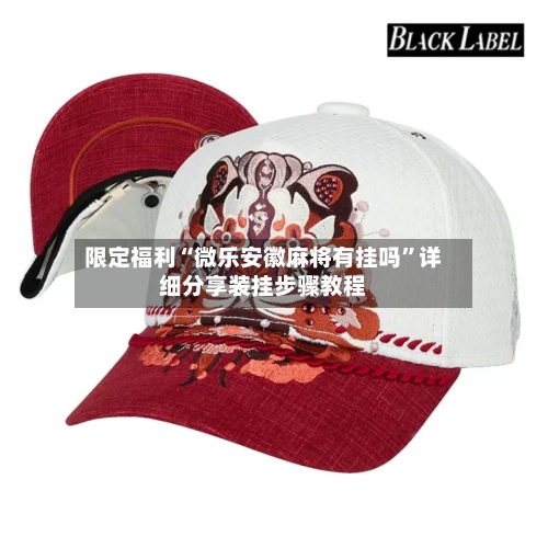限定福利“微乐安徽麻将有挂吗”详细分享装挂步骤教程-第2张图片