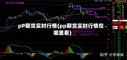 pP期货实时行情(pp期货实时行情在哪里看)-第3张图片
