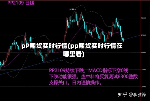 pP期货实时行情(pp期货实时行情在哪里看)