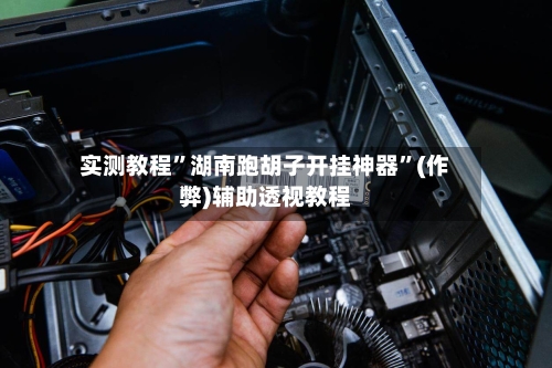 实测教程”湖南跑胡子开挂神器”(作弊)辅助透视教程