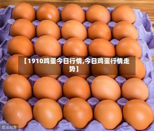 【1910鸡蛋今日行情,今日鸡蛋行情走势】-第2张图片