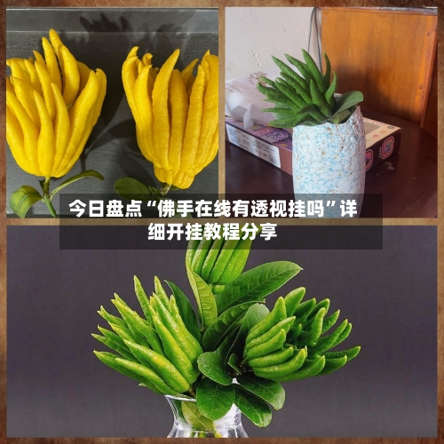 今日盘点“佛手在线有透视挂吗”详细开挂教程分享