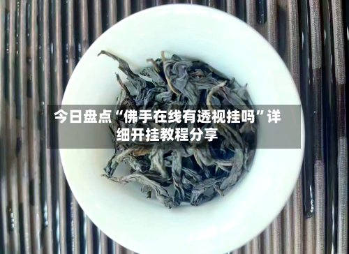 今日盘点“佛手在线有透视挂吗”详细开挂教程分享-第2张图片