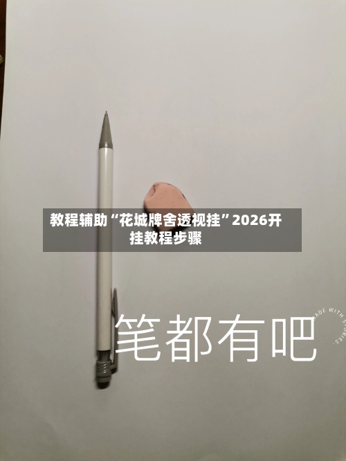 教程辅助“花城牌舍透视挂”2026开挂教程步骤