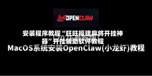 安装程序教程“旺旺福建麻将开挂神器	”开挂辅助软件教程-第2张图片