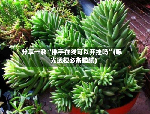 分享一款“佛手在线可以开挂吗	”(曝光透视必备猫腻)-第2张图片