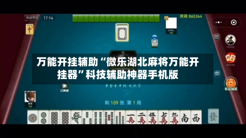 万能开挂辅助“微乐湖北麻将万能开挂器”科技辅助神器手机版-第2张图片