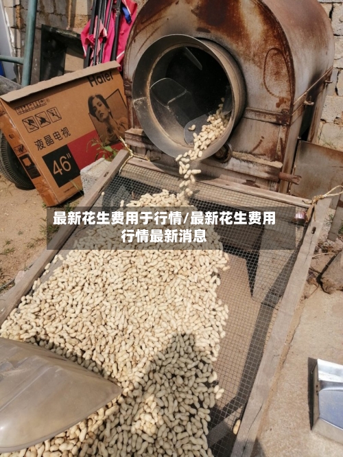 最新花生费用于行情/最新花生费用行情最新消息-第2张图片