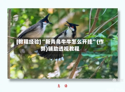 [教程经验]“新青鸟牛牛怎么开挂”(作弊)辅助透视教程