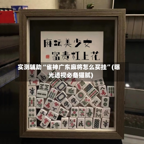 实测辅助“雀神广东麻将怎么买挂”(曝光透视必备猫腻)-第2张图片
