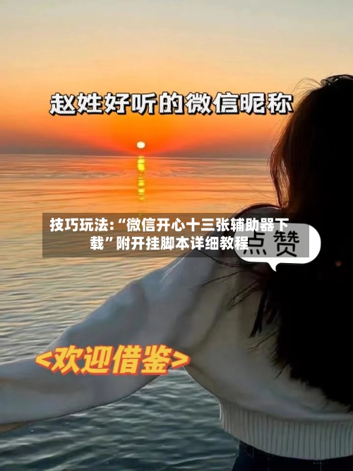 技巧玩法:“微信开心十三张辅助器下载”附开挂脚本详细教程-第3张图片