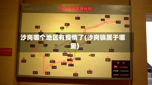 沙岗哪个地区有疫情了(沙岗镇属于哪里)