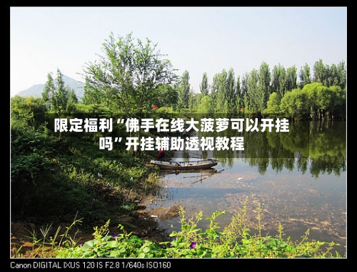 限定福利“佛手在线大菠萝可以开挂吗”开挂辅助透视教程-第3张图片
