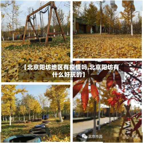 【北京阳坊地区有疫情吗,北京阳坊有什么好玩的】-第2张图片