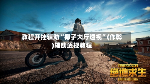 教程开挂辅助“椰子大厅透视”(作弊)辅助透视教程-第2张图片