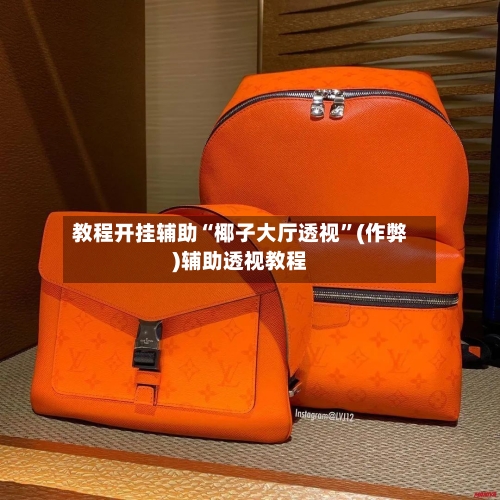 教程开挂辅助“椰子大厅透视”(作弊)辅助透视教程-第3张图片