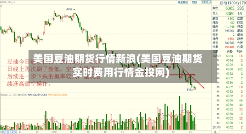 美国豆油期货行情新浪(美国豆油期货实时费用行情金投网)-第3张图片