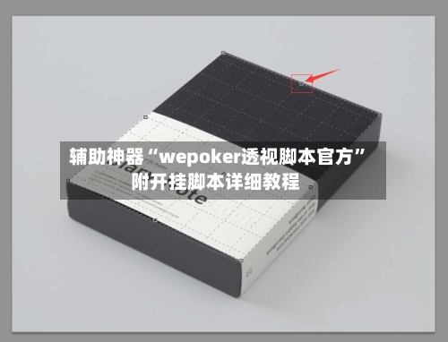 辅助神器“wepoker透视脚本官方	”附开挂脚本详细教程-第2张图片