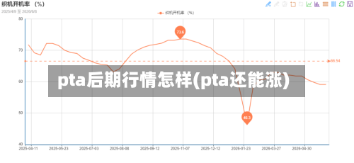 pta后期行情怎样(pta还能涨)