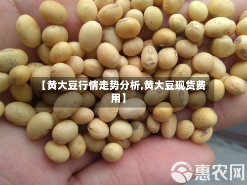 【黄大豆行情走势分析,黄大豆现货费用】