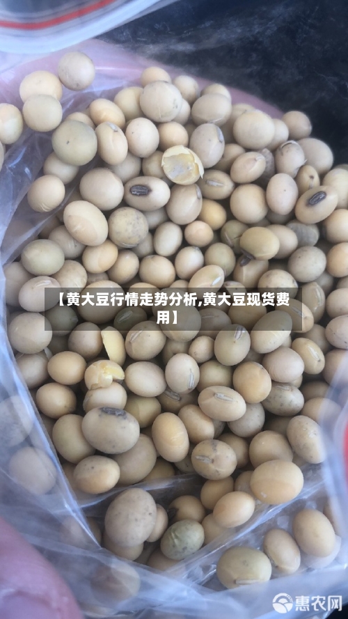 【黄大豆行情走势分析,黄大豆现货费用】-第3张图片