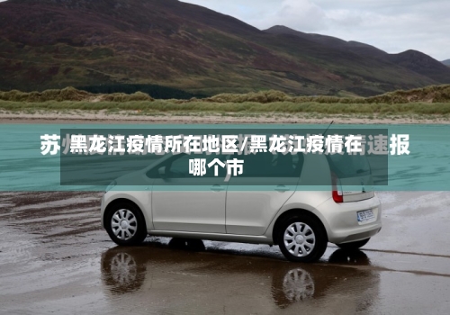 黑龙江疫情所在地区/黑龙江疫情在哪个市