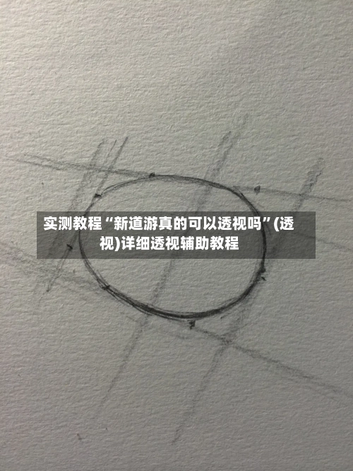 实测教程“新道游真的可以透视吗”(透视)详细透视辅助教程-第3张图片