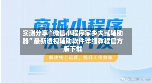 实测分享“微信小程序家乡大贰辅助器”最新透视辅助软件详细教程官方版下载-第2张图片