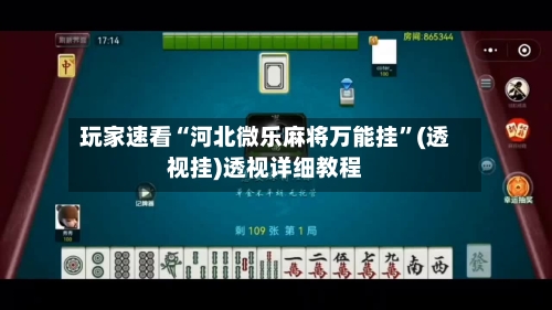玩家速看“河北微乐麻将万能挂”(透视挂)透视详细教程-第3张图片
