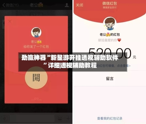 助赢神器“新星游开挂透视辅助软件”详细透视辅助教程-第2张图片