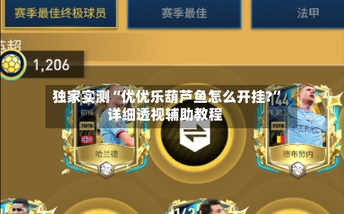 独家实测“优优乐葫芦鱼怎么开挂?”详细透视辅助教程-第2张图片