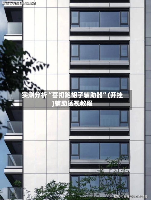 实测分析“喜扣跑胡子辅助器”(开挂)辅助透视教程-第3张图片
